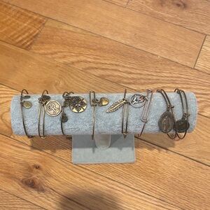 Alex and Ani Bronze Charm Bracelet Collection
